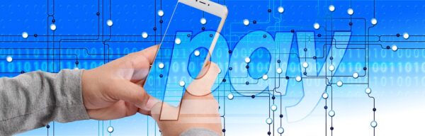 Public Key: Digital Signatures, Immutable Identity, Quantum Horizons