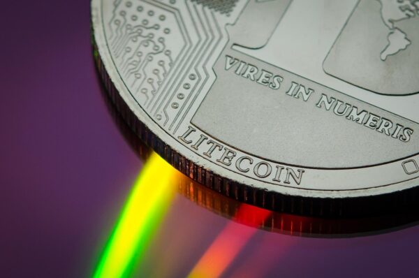 Orchestrating Decentralized Evolution: Protocol Governances Legitimacy Imperative