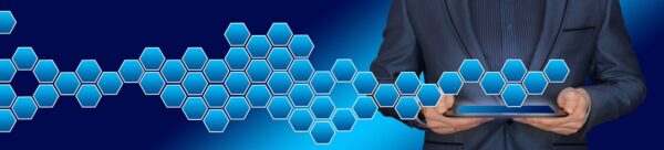 Forging The Data Fabric: Interoperabilitys Strategic Imperative