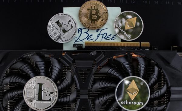 On-Chain Imperative: Programmable Trust, Verifiable Provenance