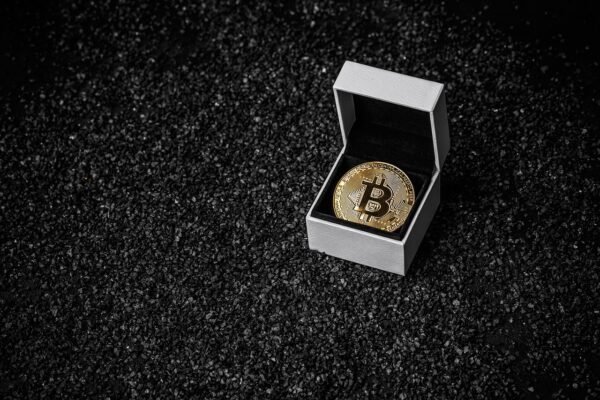 Cryptoeconomic Design: Incentivizing Decentralized Progress