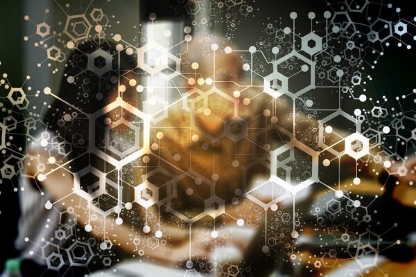 The Verifiable Web: Orchestrating Privacy And Digital Trust